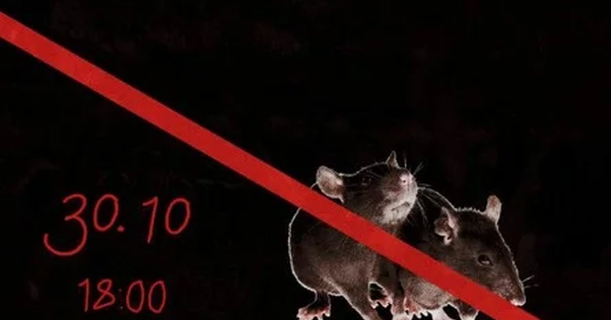 Афиша «30 октября - спектакль-притча "Крысиная охота"»