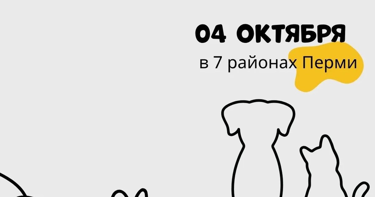 Афиша «Акция «Точка добра»»