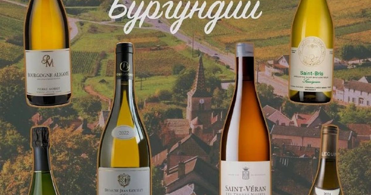 Афиша «Белые вина Бургундии»