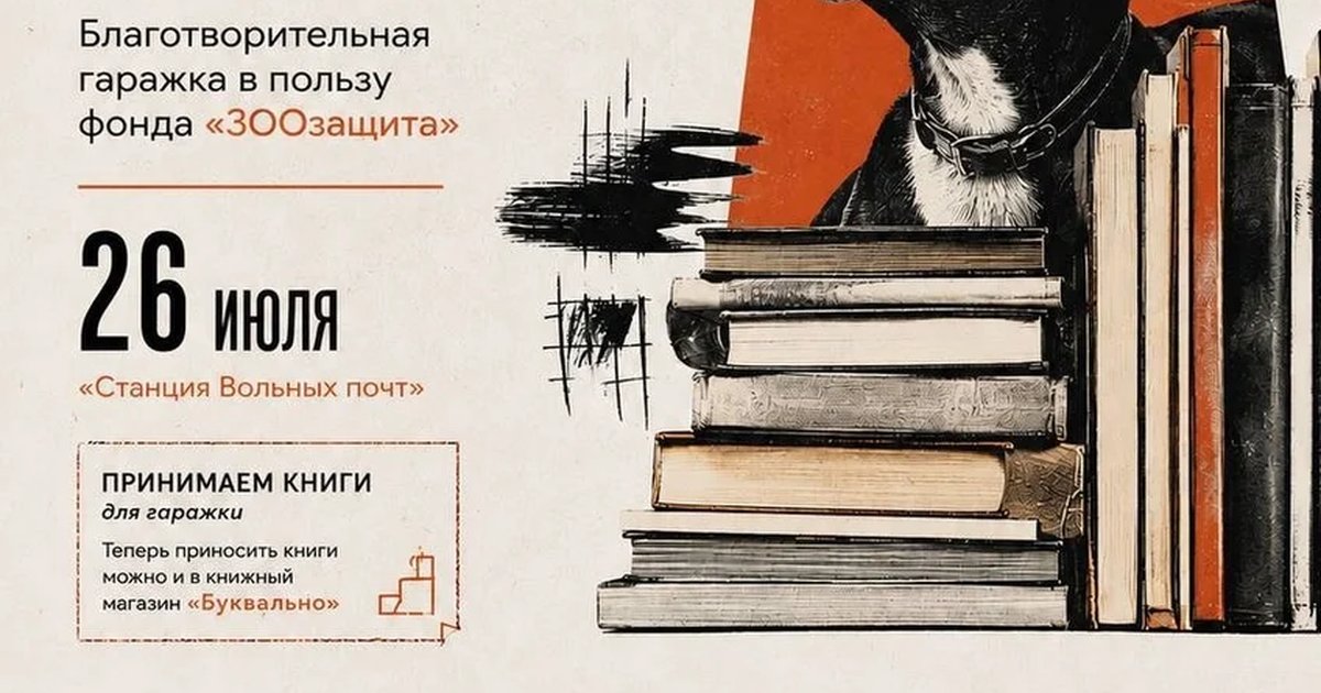 Афиша «Благотворительная книжная гаражка «Сноска»»