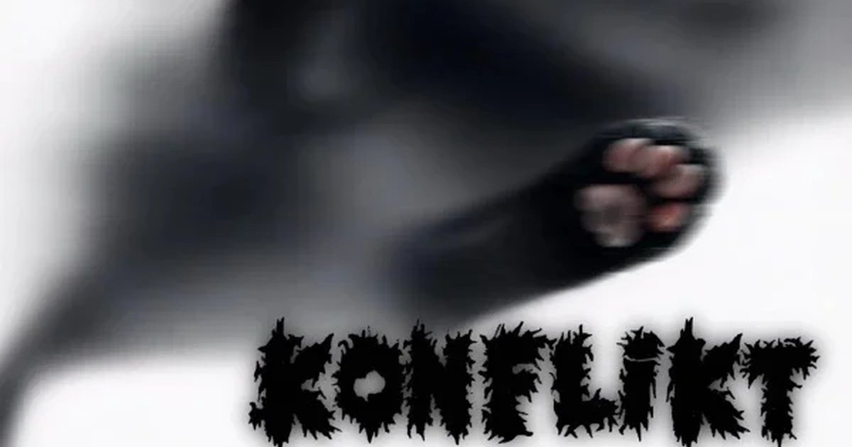 Афиша «Благотворительный концерт SAINT LYSSA x KONFLIKT»