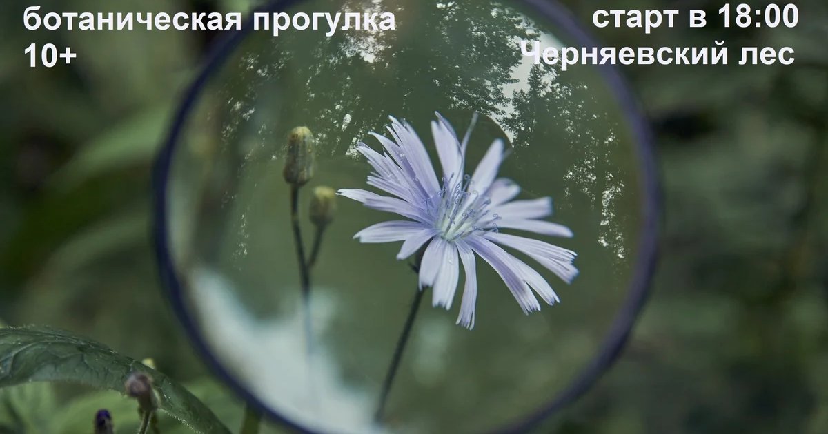 Афиша «Ботаническая прогулка «В расцвете сил»»