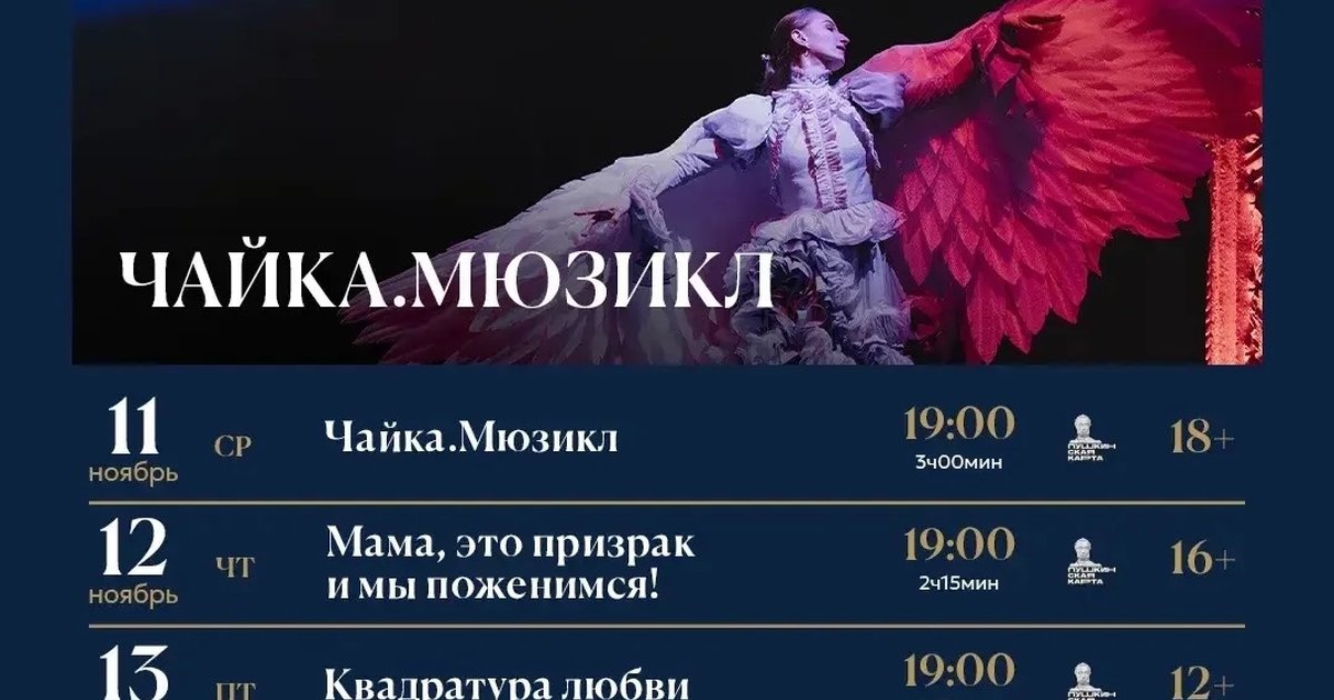 Афиша «Чайка. Мюзикл. Премьера»