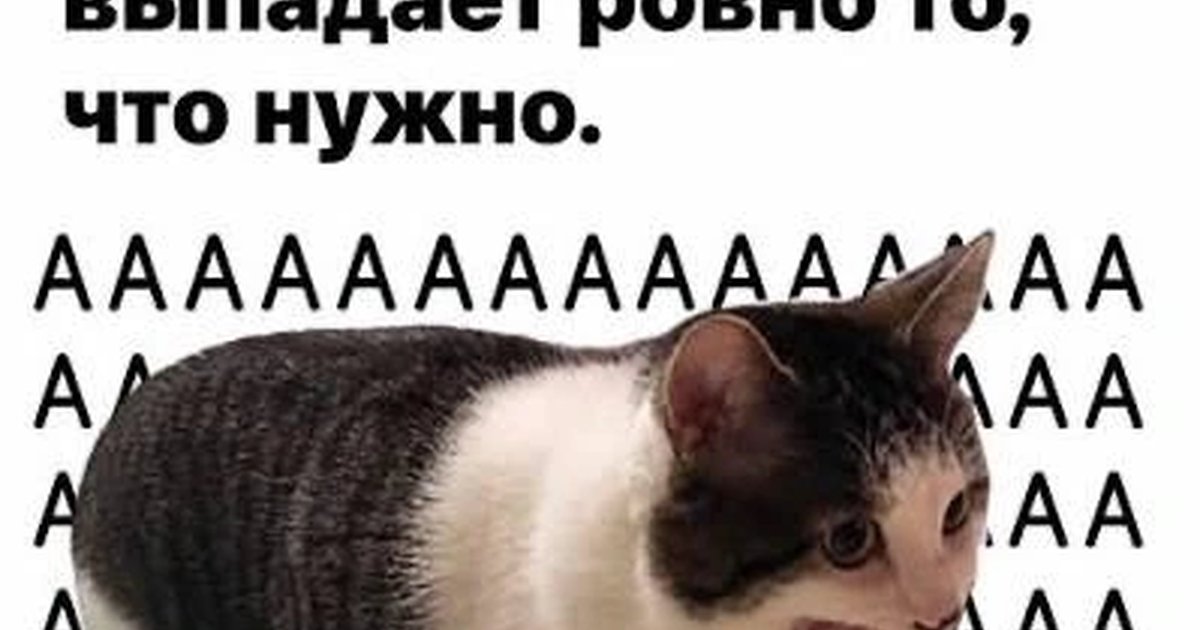 Афиша «Чемпионат России по коротким нардам»
