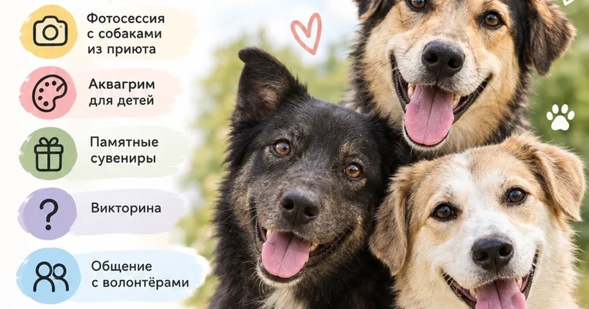 Афиша «Давай дружить!»