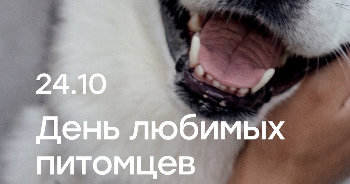 Афиша «День любимых питомцев»