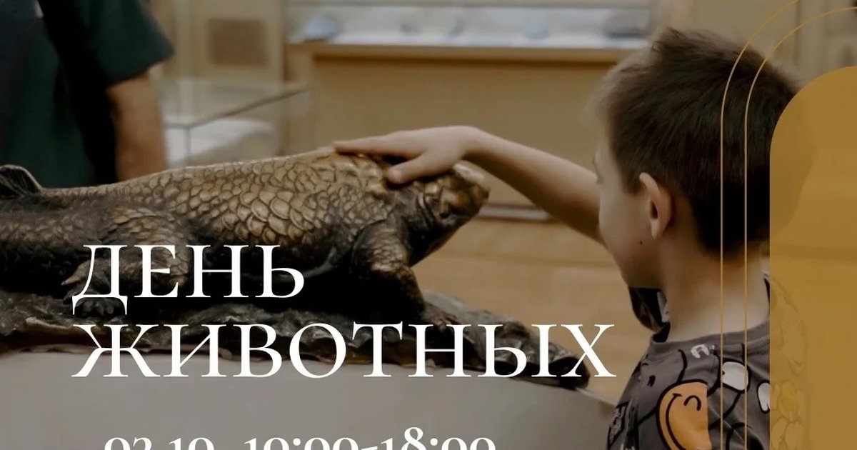 Афиша «День животных»