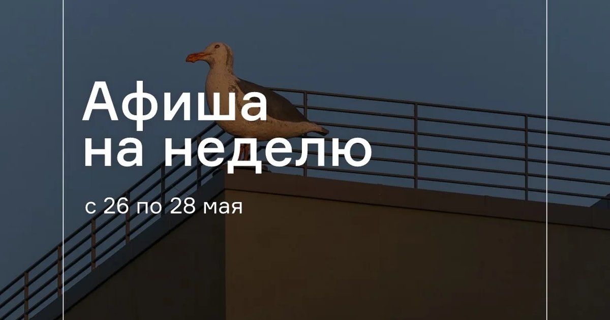 Экскурсия «История и артефакты в Речном порту»
