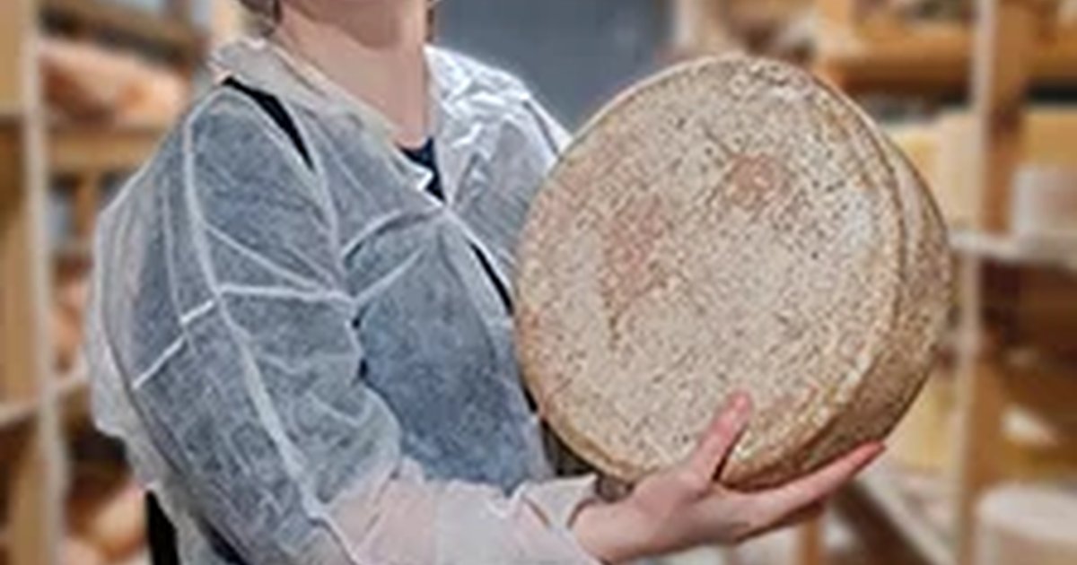 Экскурсия на сыроварню «Сырник»