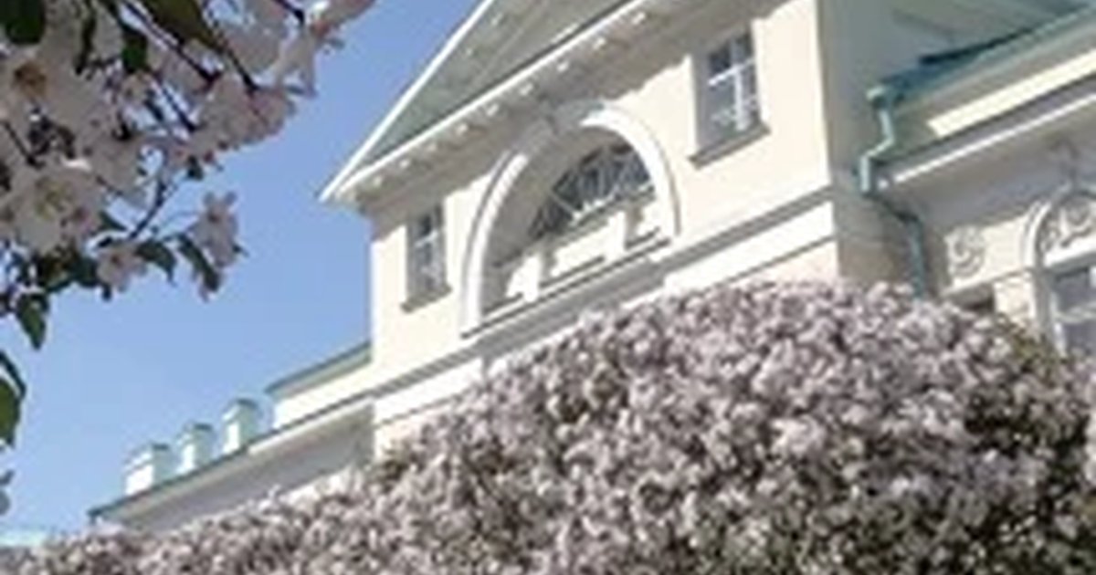 Афиша «Экспозиции Музея истории камнерезного и ювелирного искусства»