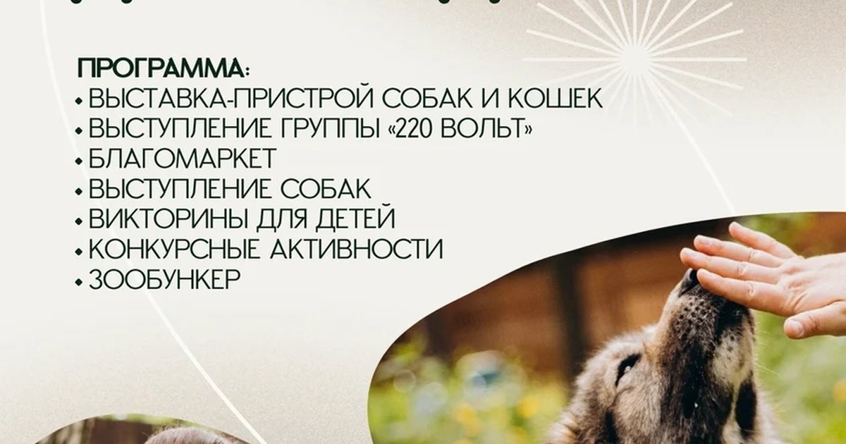 Афиша «Фестиваль по пристрою животных «Дорога домой»»