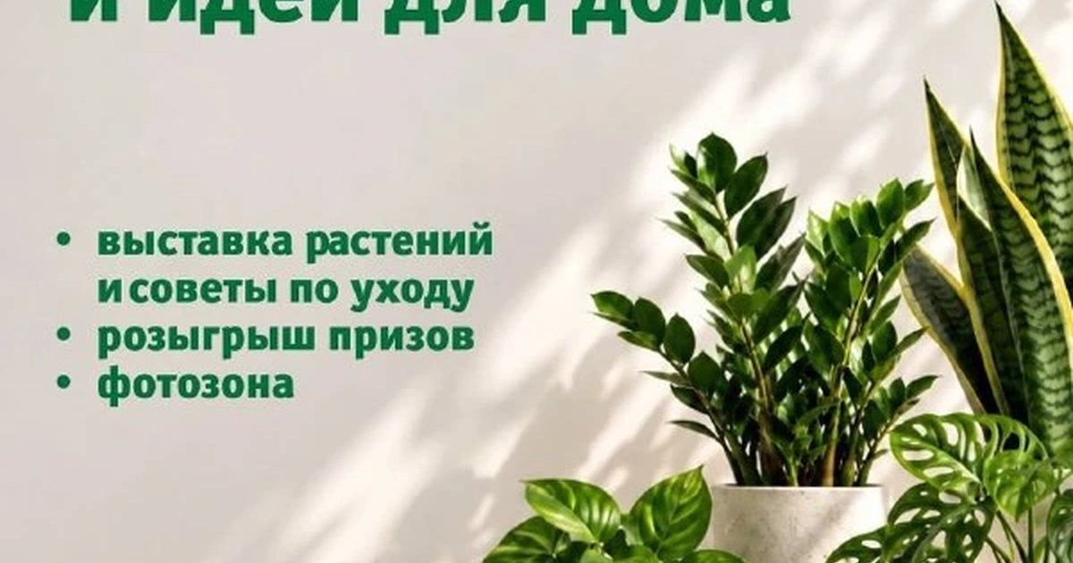Афиша «Фестиваль растений и творчества»