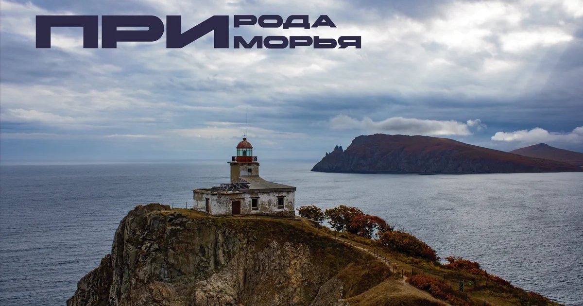 Год в диких лесах: как я полюбил дальневосточную тайгу