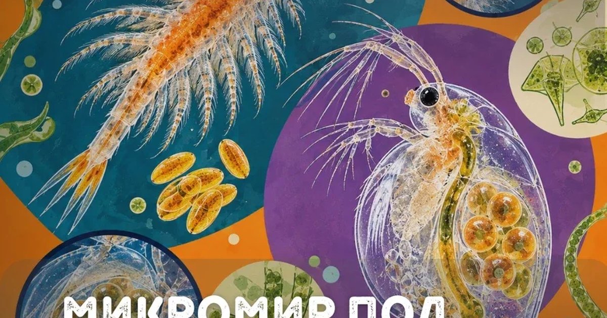 Афиша «Интерактив «Живой микромир под микроскопом»»