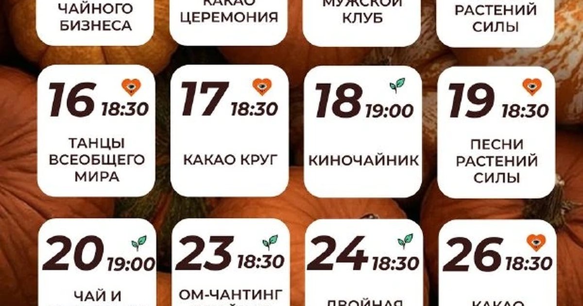 Афиша «Какао-круг: двойная дегустация. Эквадор»