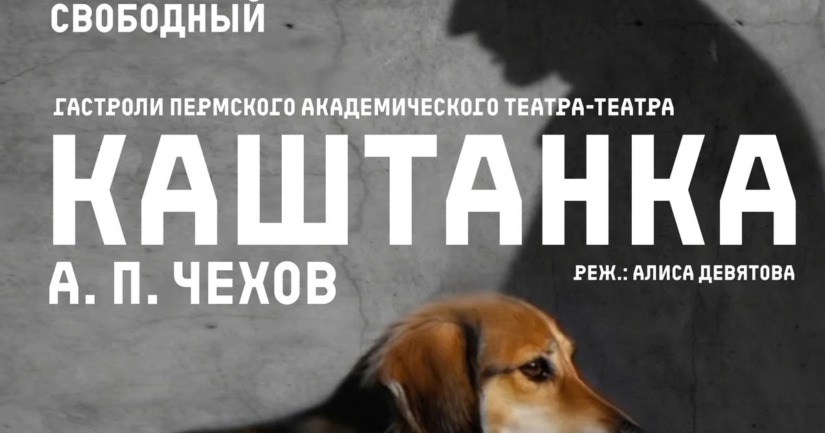 Афиша «Каштанка. История собаки»