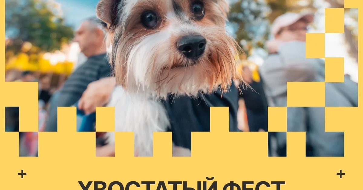Афиша «Хвостатый фест»