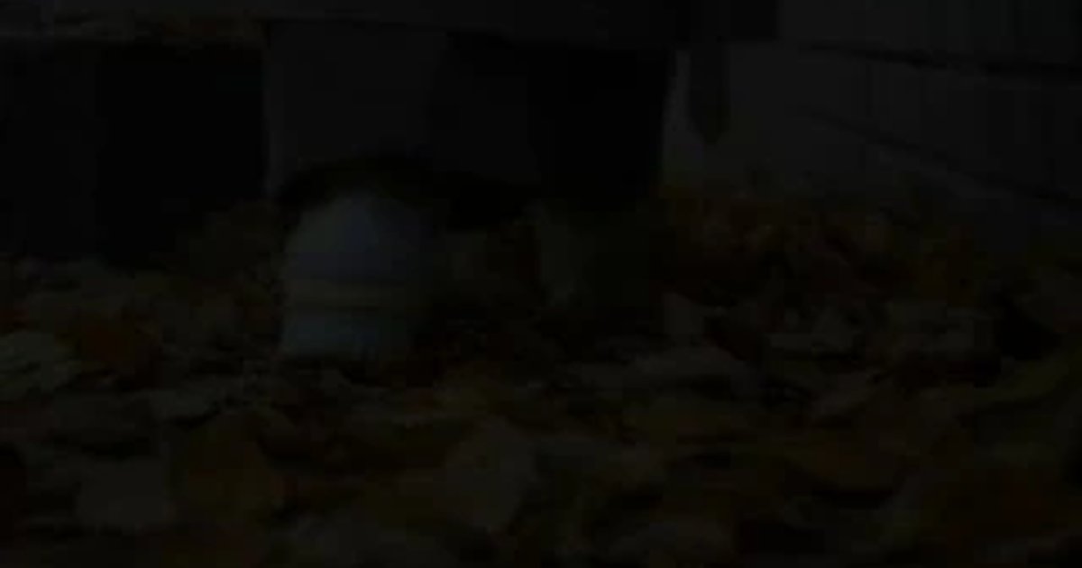 Афиша «Книжный фестиваль «ТЕКСТ»»