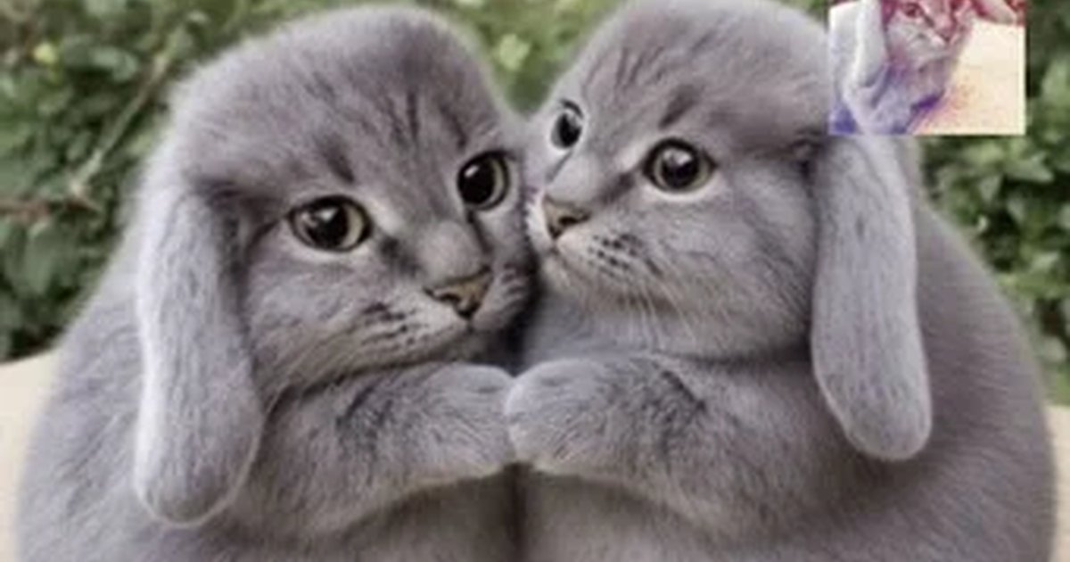 Афиша «КОТ В МЕШКЕ (!)»