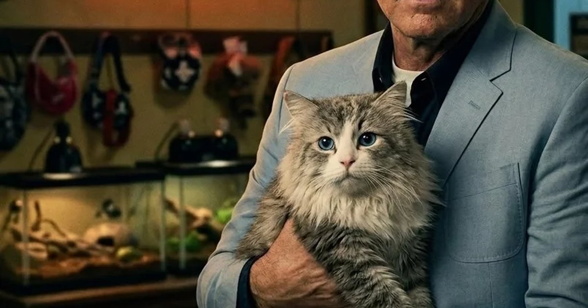 Афиша «Котосинема: «9 жизней»»