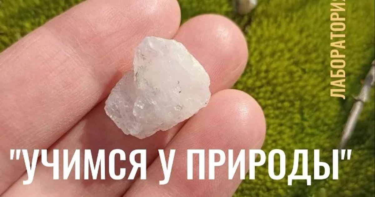 Афиша «Лаборатория «Учимся у природы: минералы и деревья»»