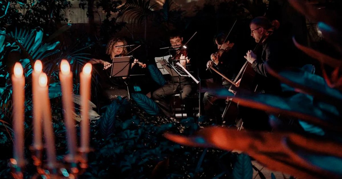 Афиша «МАГИЯ СВЕЧЕЙ. «От Вивальди до Jingle Bells» в Оранжерее»