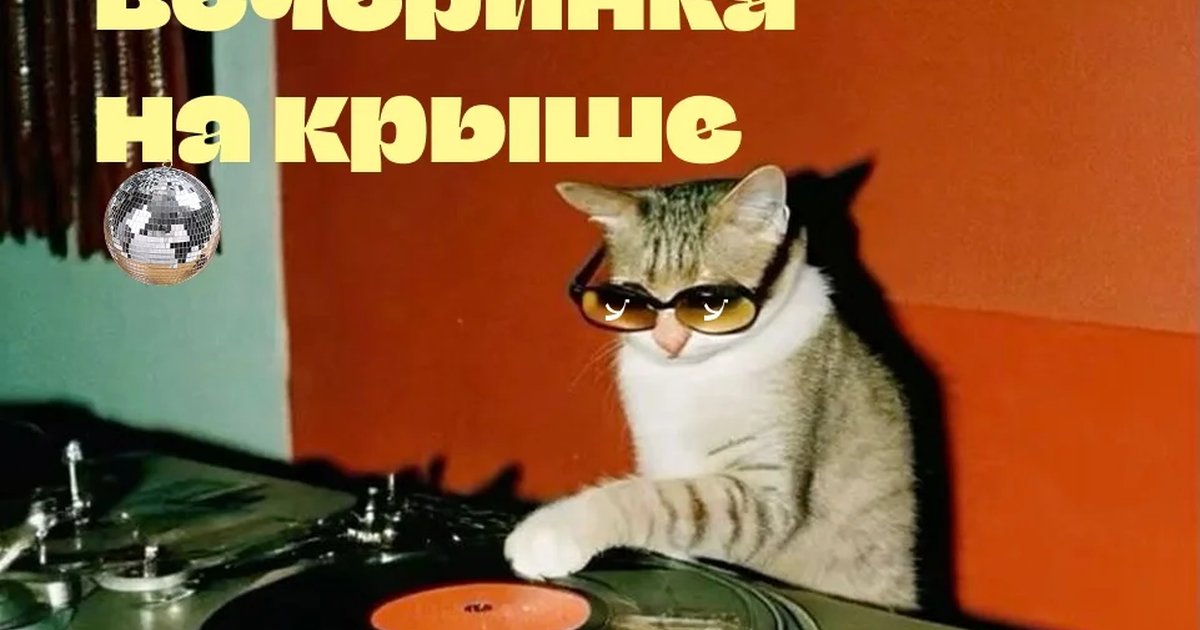«Майская» вечеринка на крыше