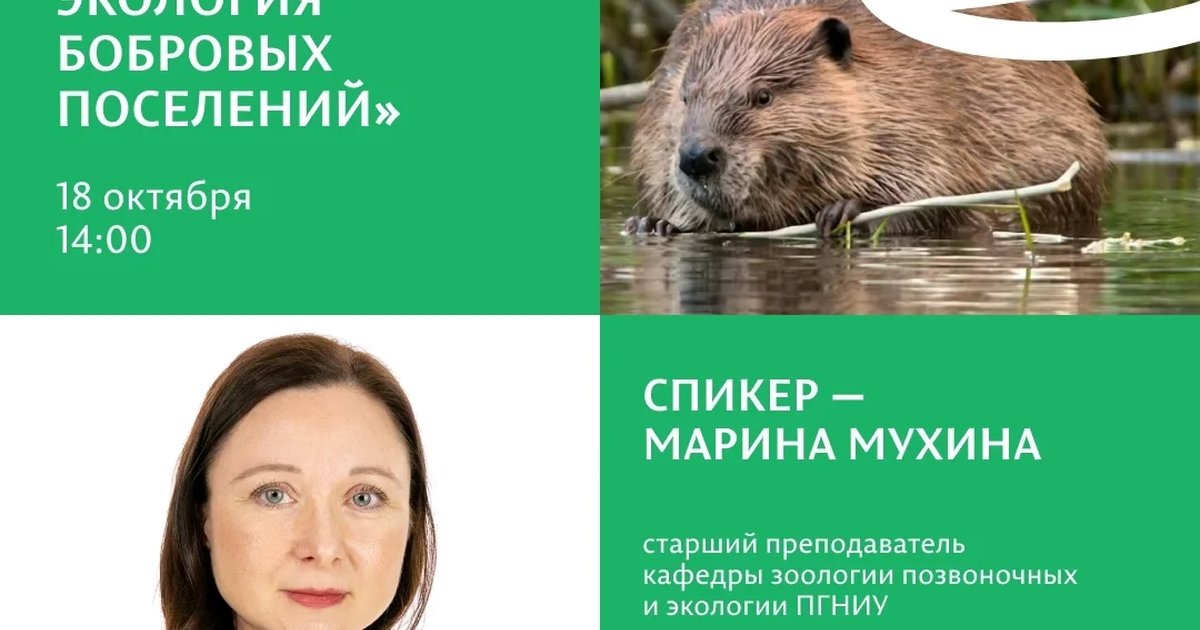 Афиша «Малая река и её хозяин: экология бобровых поселений»