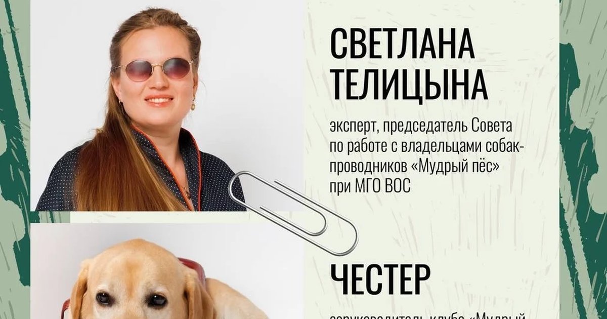 Афиша «Маршрут построен: как собаки-проводники помогают незрячим людям»