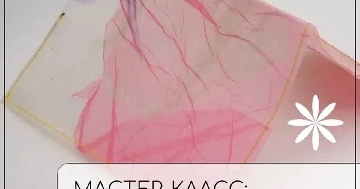 Афиша «Мастер-класс: обложка на паспорт из пакетов»