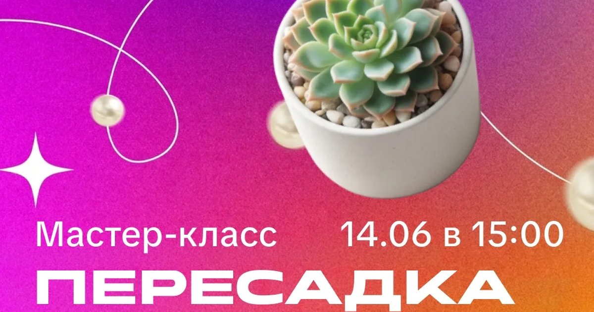 Мастер-класс «Пересадка суккулента»