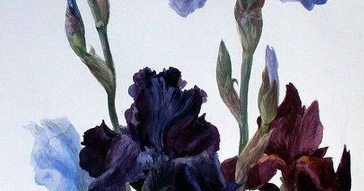 Афиша «Мастер-класс по созданию ароматов»