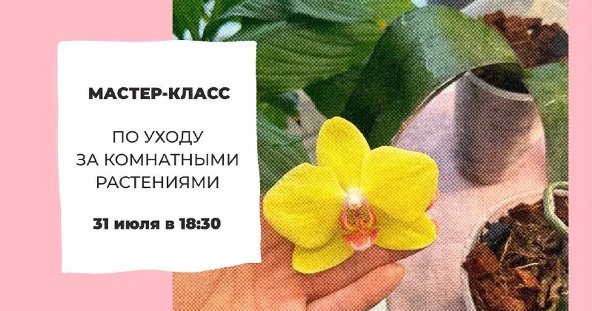 Афиша «Мастер-класс по уходу за комнатными растениями»