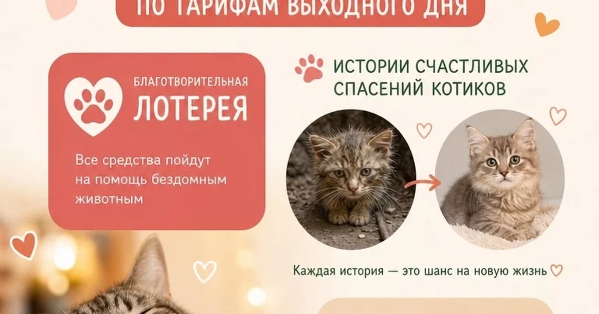 Афиша «Международный день благотворительности в Тюменском котокафе»