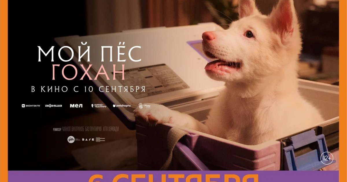 Афиша «Мой пёс Гохан — специальный премьерный показ»