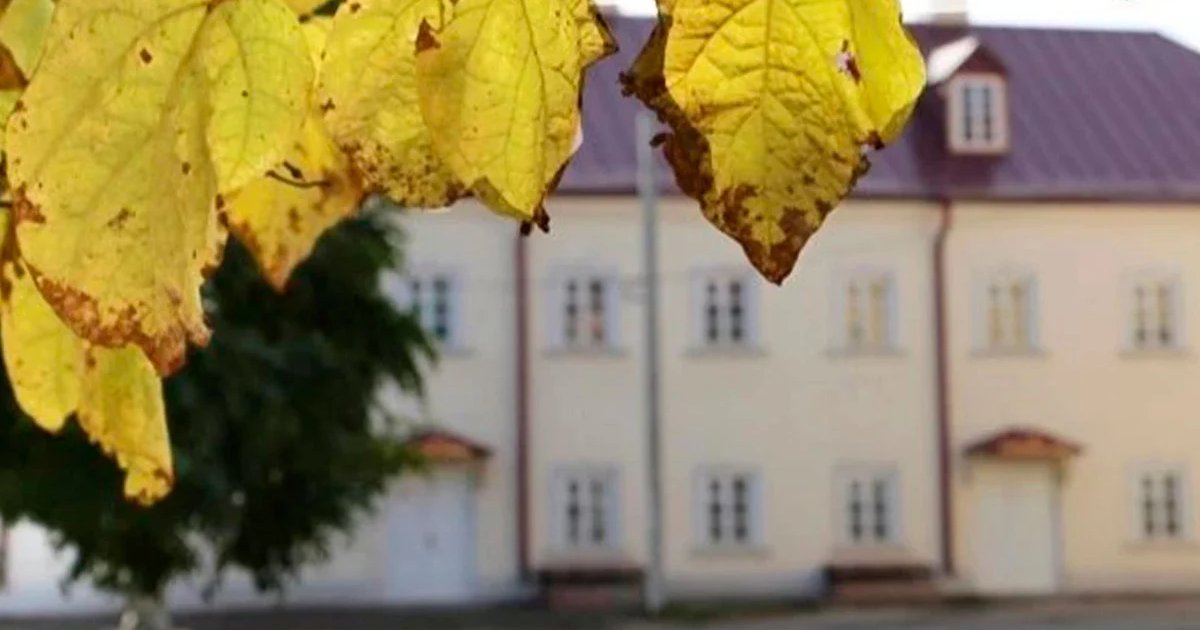 Афиша «Надежда - мой компас земной. Органный концерт»