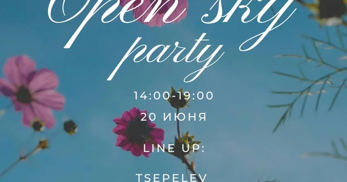 Open Sky party