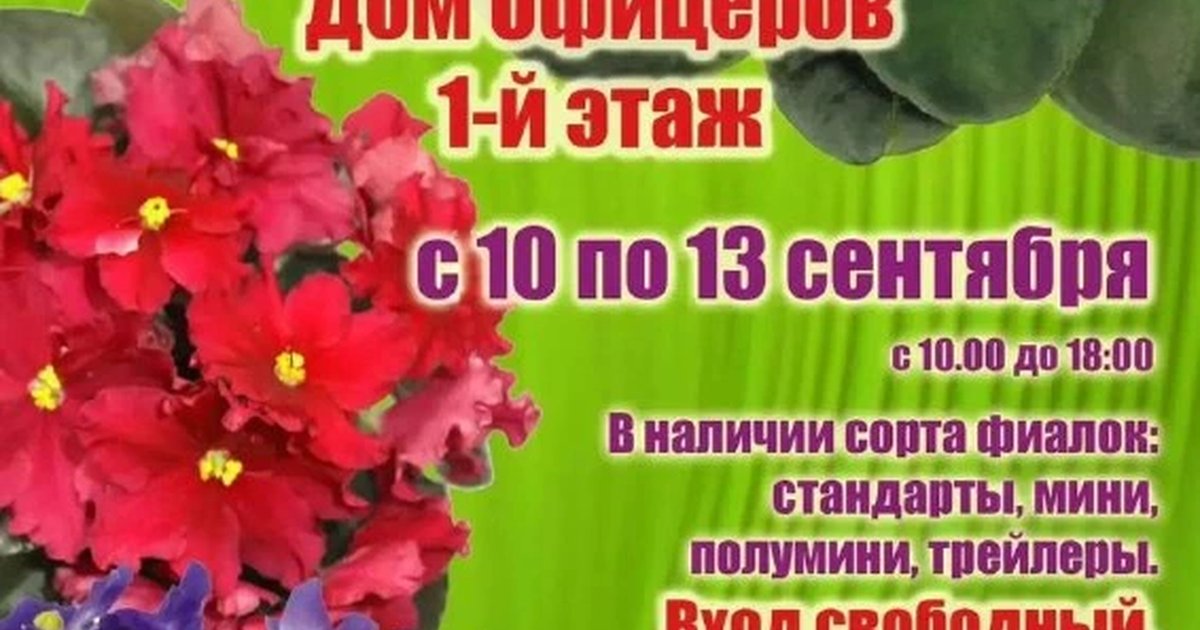 Афиша «Осенняя ярмарка фиалок»