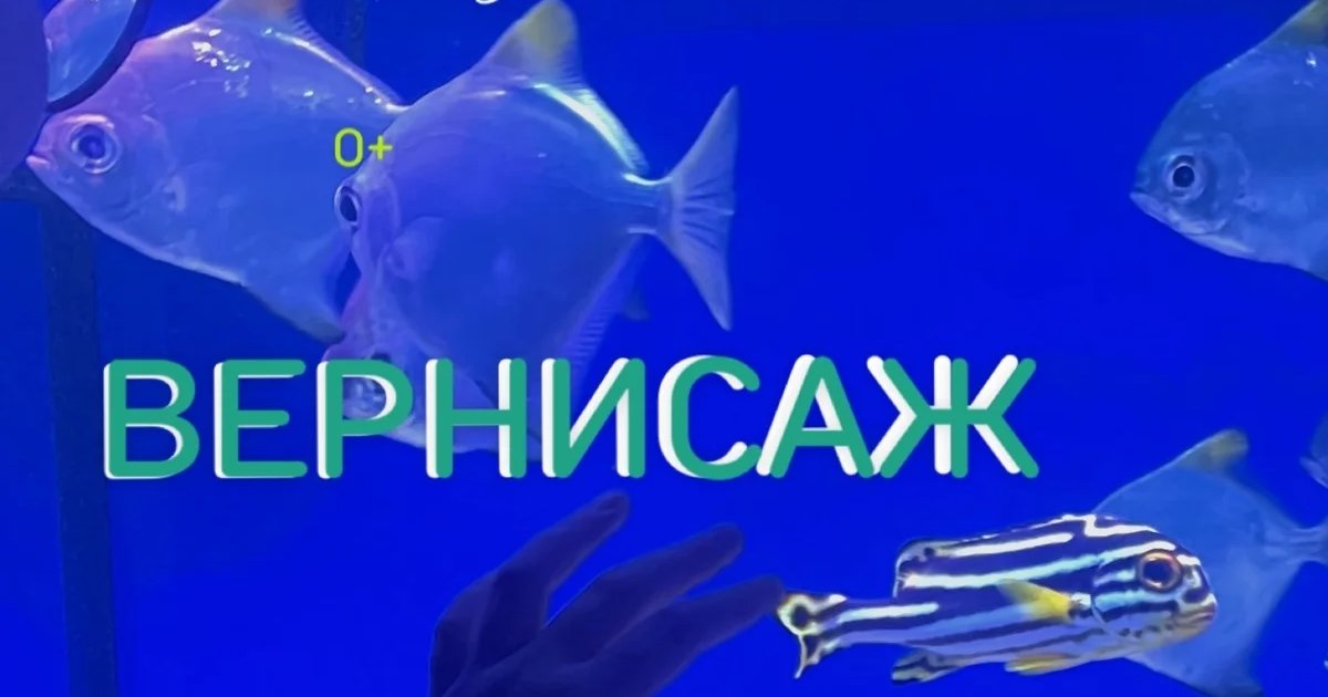 Афиша «Открытие выставки «Точка сборки»»