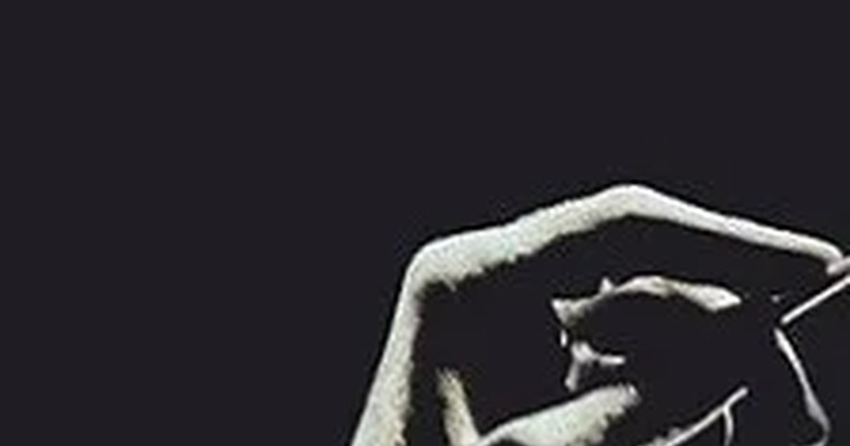 Афиша «Палантай»