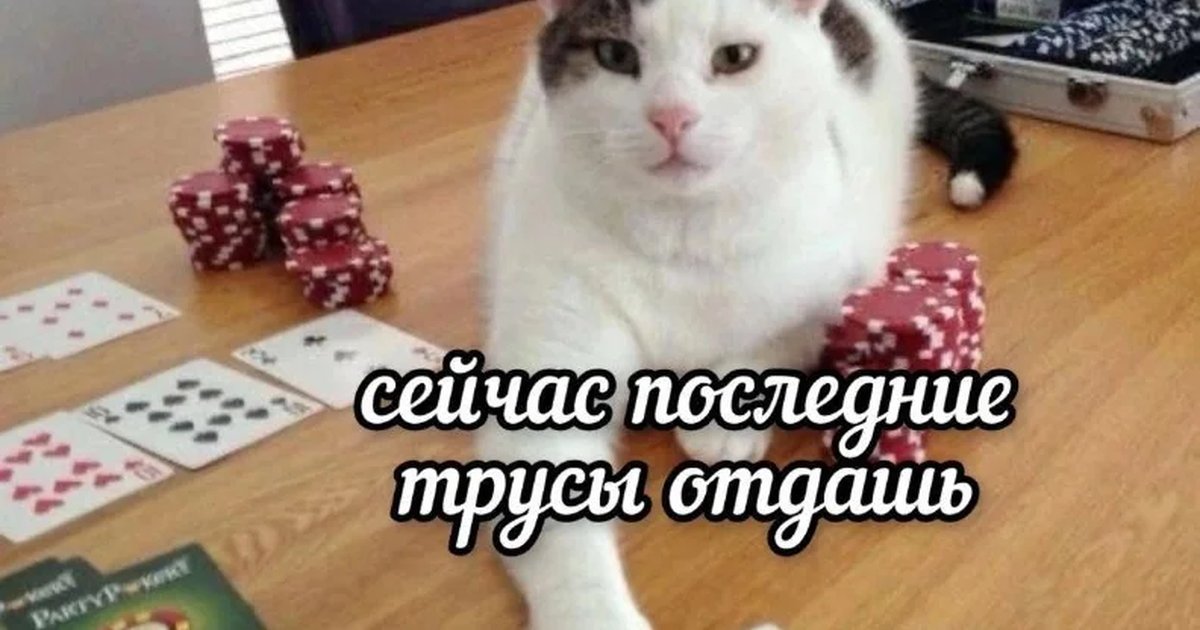 Афиша «Покерный турнир без денежных ставок»