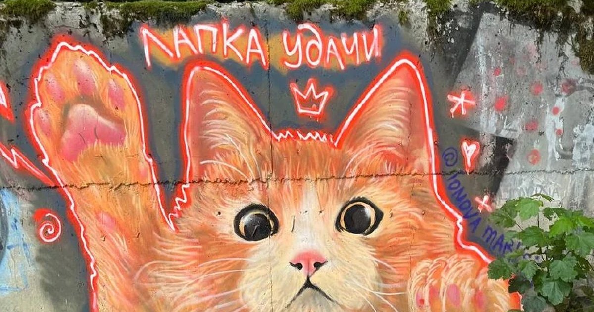 Афиша «Покраска «Кото-стены»»