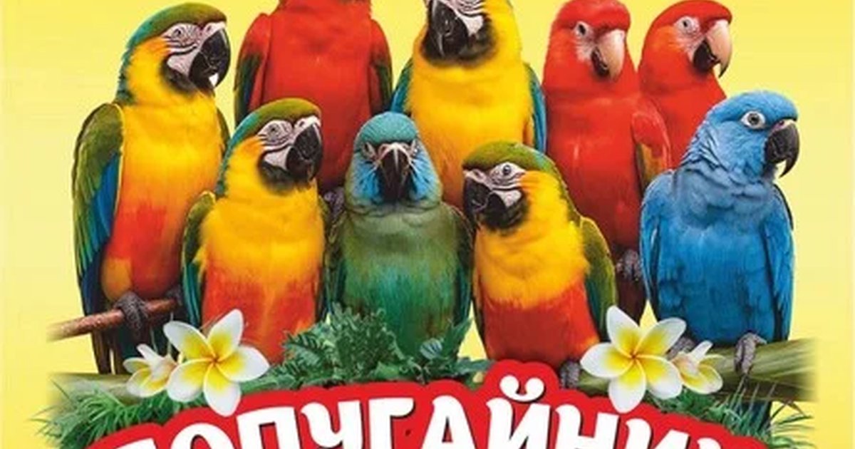 Попугайник в Перми — 11 июля