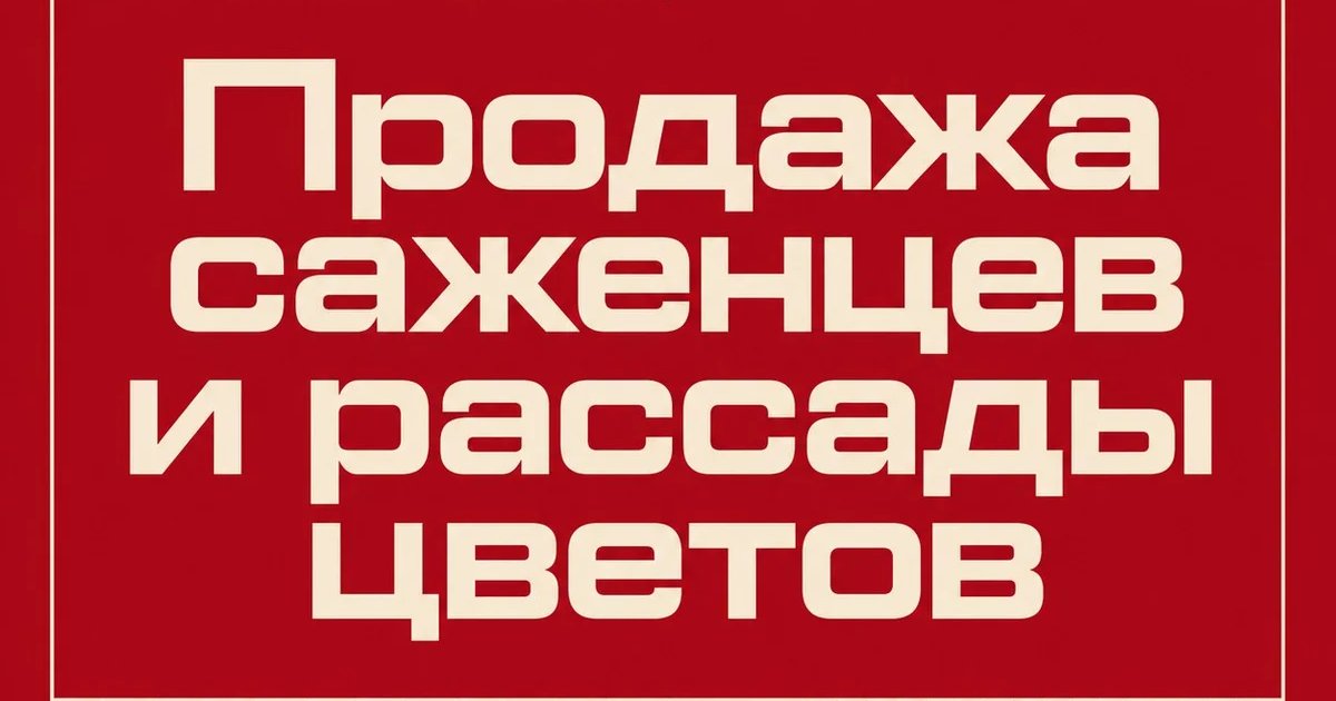 Продажа саженцев и рассады цветов
