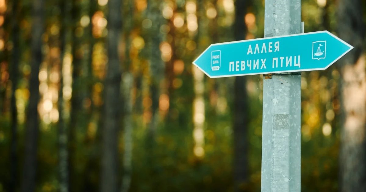 Прогулка с орнитологом