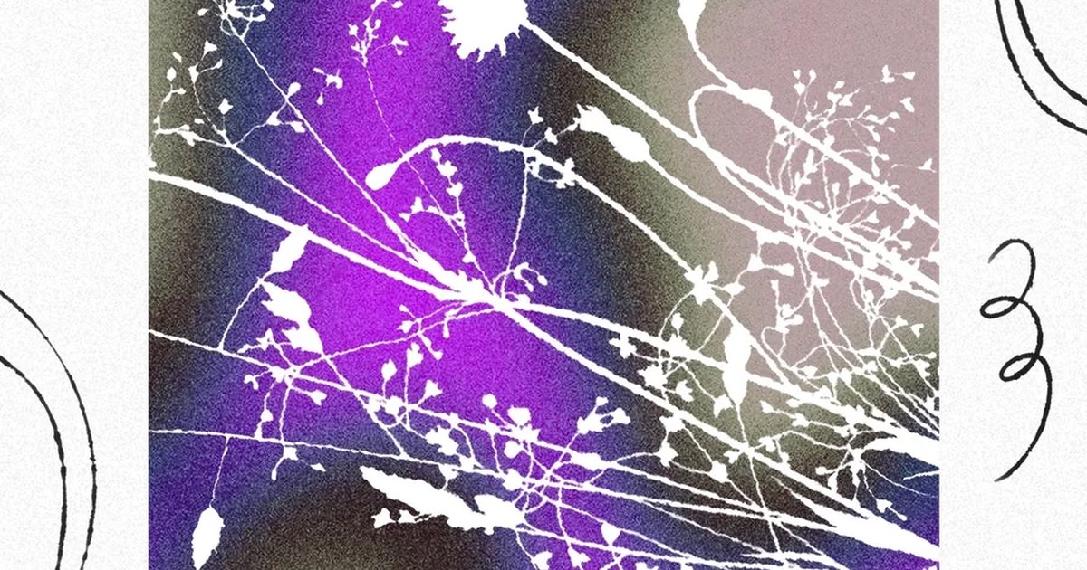 Афиша «Сет Alexander Lozovoy»