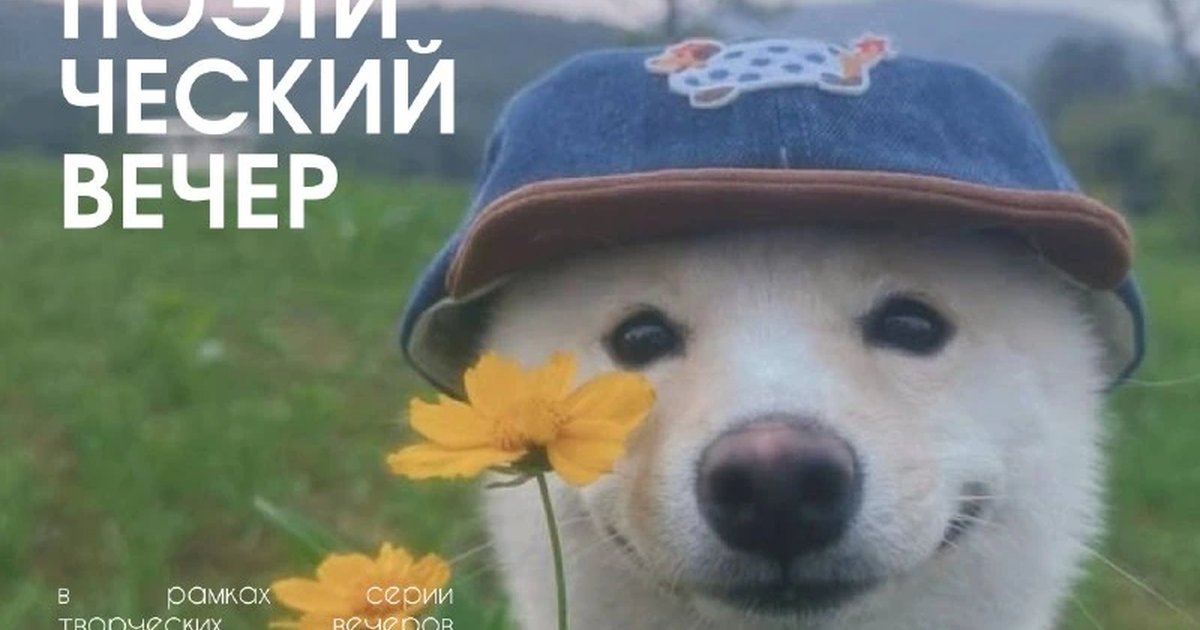 Афиша «Стихи про братьев наших меньших»
