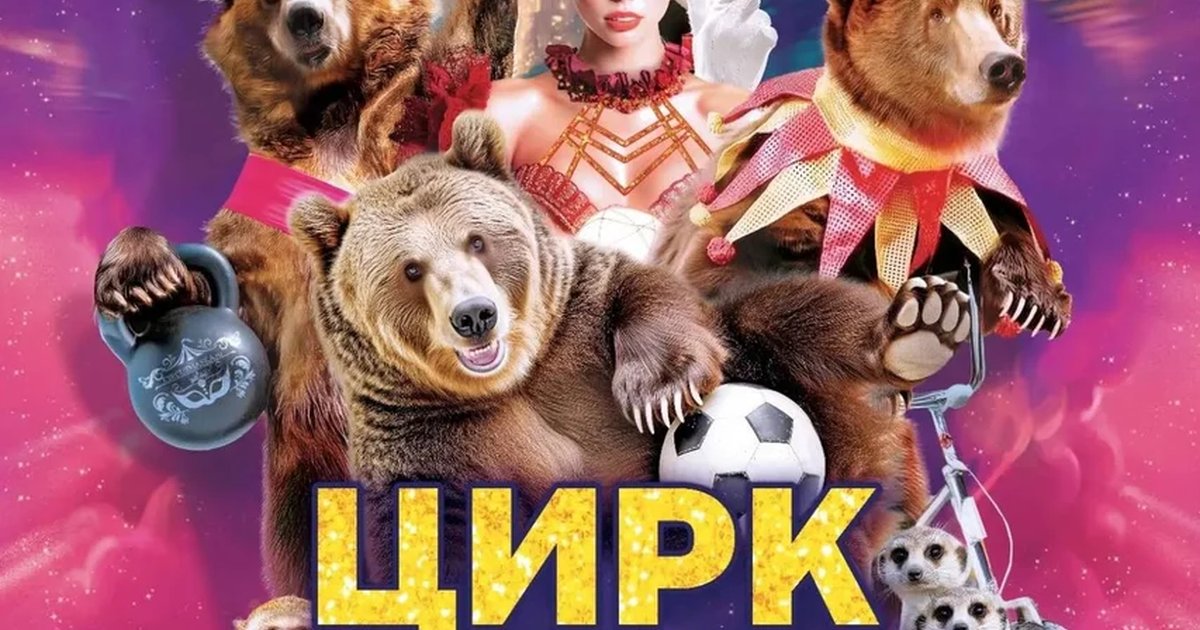 Афиша «Цирк шапито "Маска" на стадионе "Фламинго"»