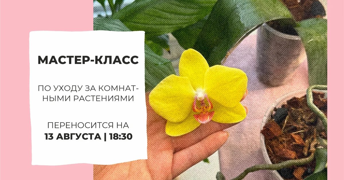 Афиша «Цветочки в дофаминовых горшочках»