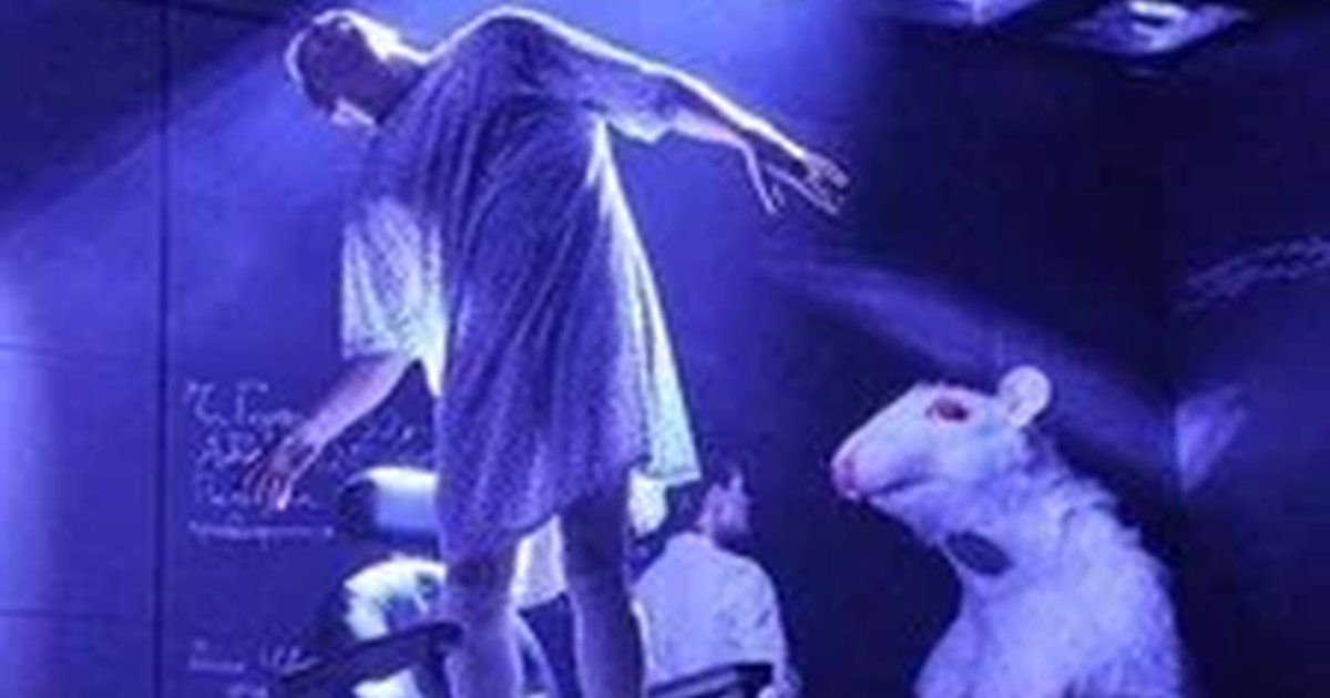 Афиша «Цветы для Элджернона»